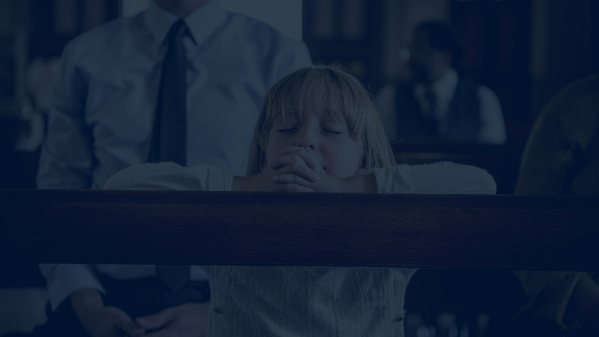 Non Profit Wordpress Theme